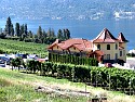 Wineries and Vineyards Wineries and Vineyards